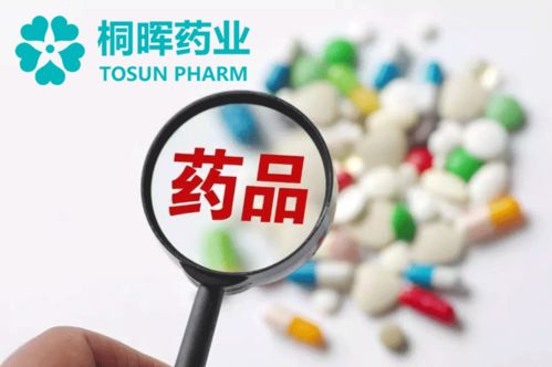 仿制藥項(xiàng)目技術(shù)轉(zhuǎn)讓與技術(shù)服務(wù)詳情